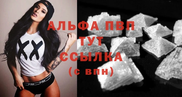 молекула духа Балахна