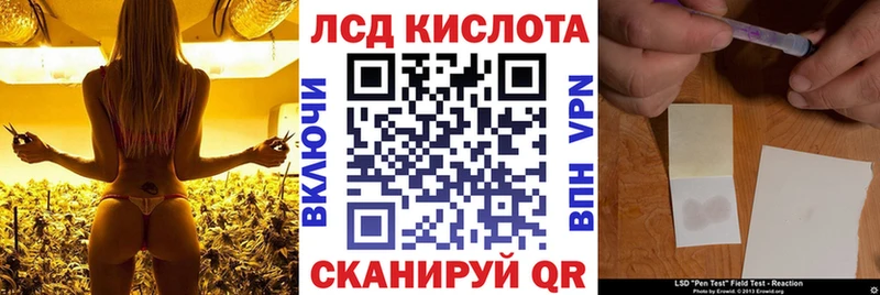 Наркотические марки 1,5мг мега ONION Балахна цена наркотик