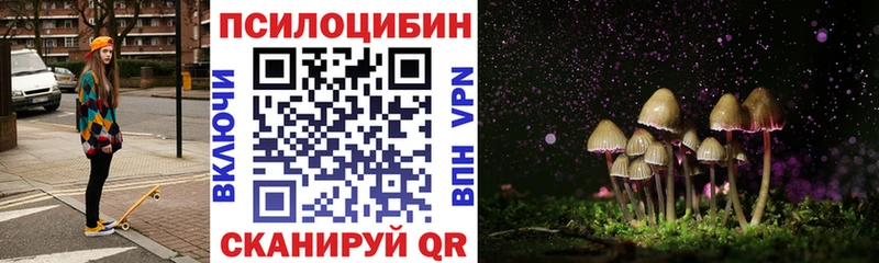 блэк спрут как войти  Балахна  Галлюциногенные грибы Cubensis 